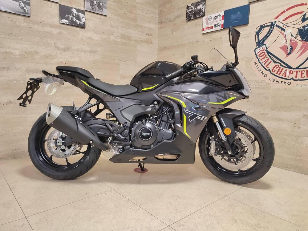 Benelli Tornado 550 (2025) (5)