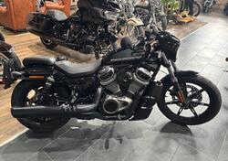 Harley-Davidson Nightster (2023 - 25) usata