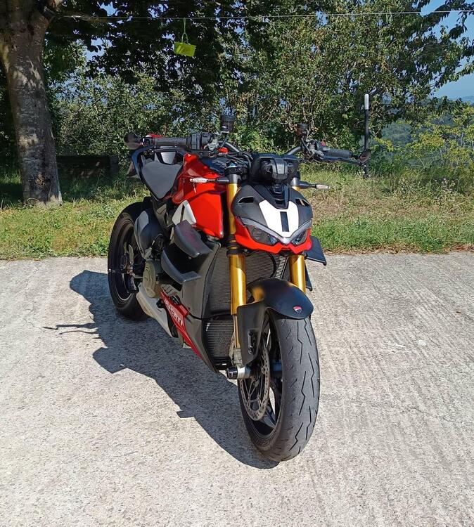 Ducati Streetfighter V4 1100 S (2021 - 22) (3)