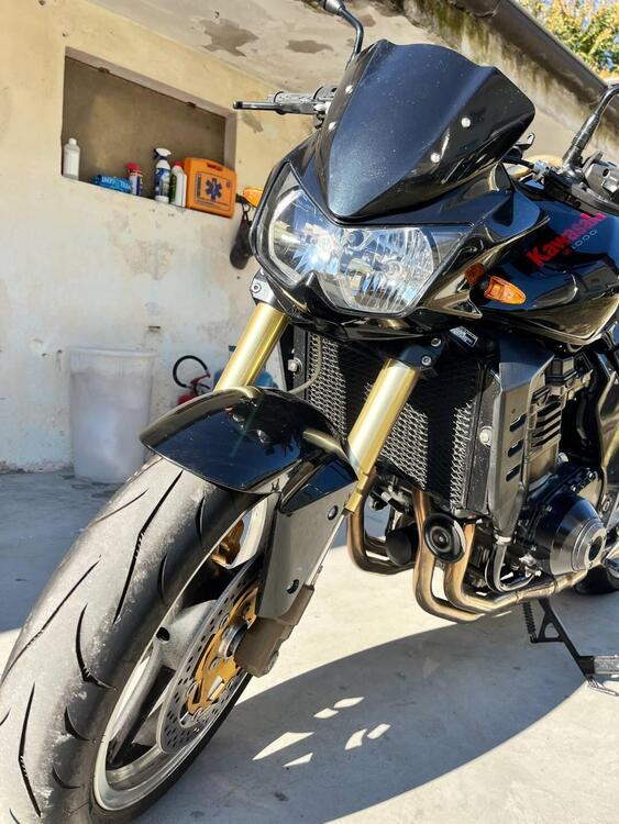 Kawasaki Z 1000 (2003 - 06) (3)