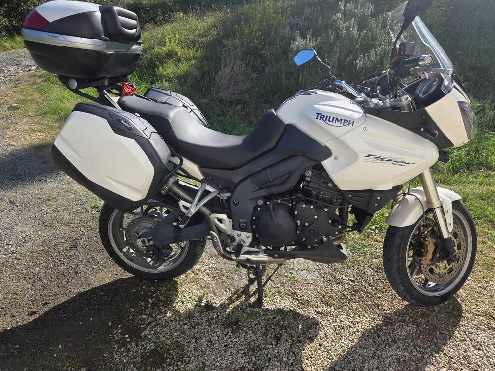 Triumph Tiger 1050 (2006 - 12)
