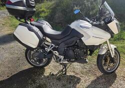 Triumph Tiger 1050 (2006 - 12) usata