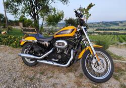 Harley-Davidson 1200 Roadster (2006 - 08) - XL 1200R usata