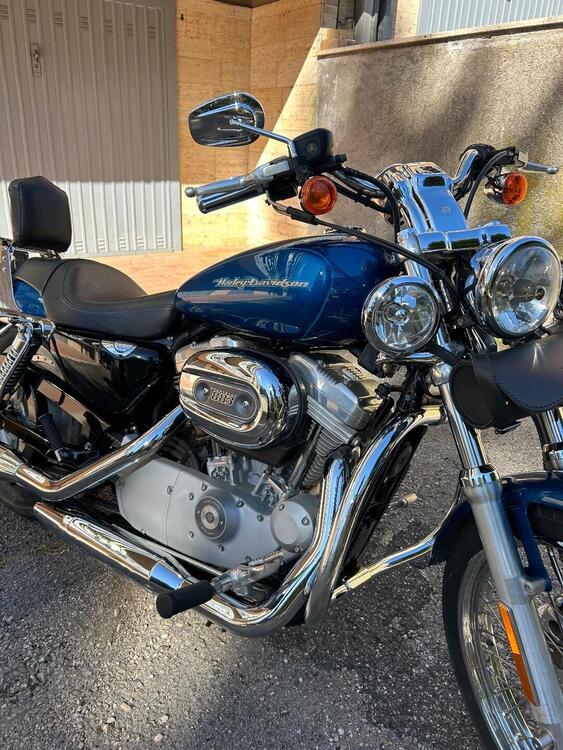 Harley-Davidson 883 Custom (2001 - 05) - XL 53C (2)