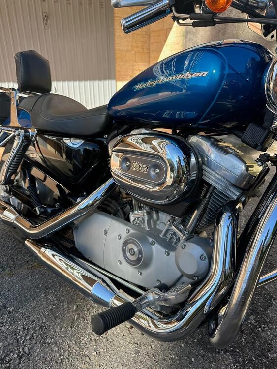 Harley-Davidson 883 Custom (2001 - 05) - XL 53C (4)