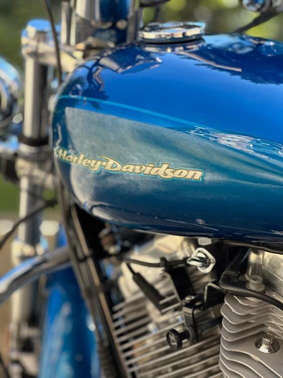 Harley-Davidson 883 Custom (2001 - 05) - XL 53C (5)