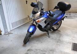 Aprilia Pegaso 650 IE (2003 - 04) usata