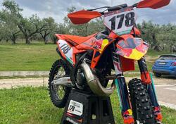 KTM 250 SX (2024) usata