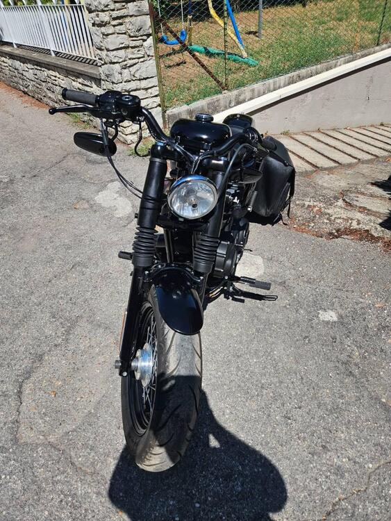 Harley-Davidson 1200 Forty-Eight (2010 - 15) (4)