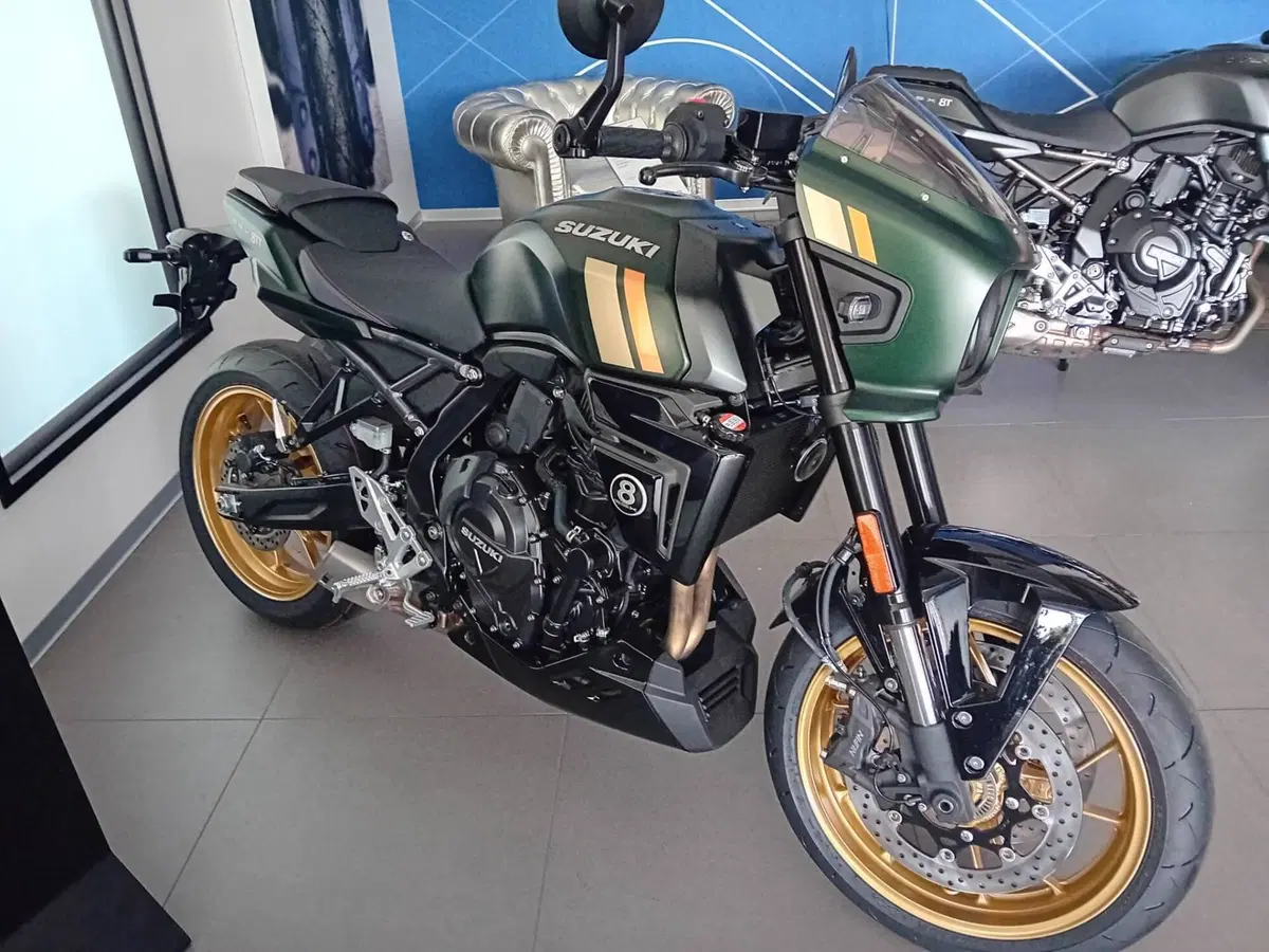 Suzuki GSX-8TT (2025 - 26) (10)