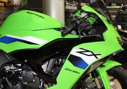 Kawasaki Ninja 636 ZX-6R (2024 - 26) nuova