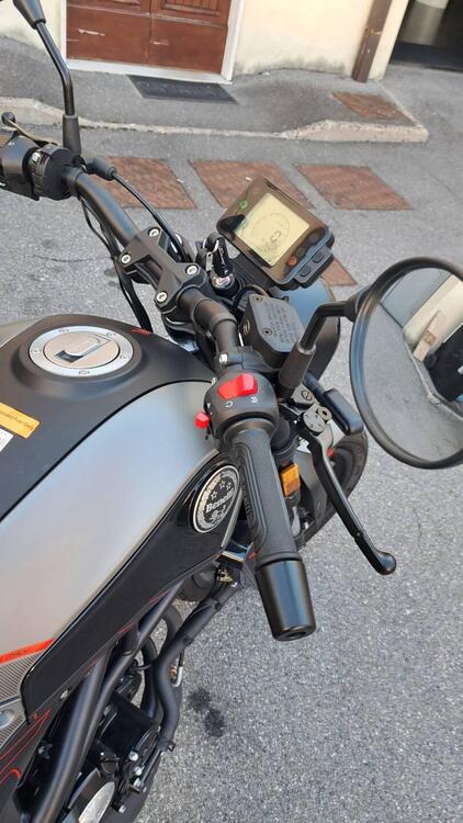 Benelli Leoncino 125 (2022 - 25) (4)