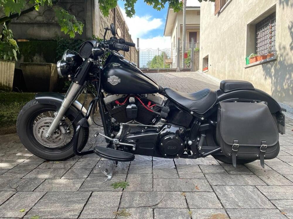 Harley-Davidson 1690 Slim (2011 - 16) - FLS (2)