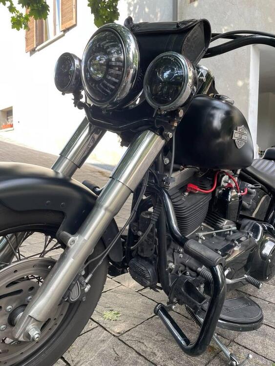 Harley-Davidson 1690 Slim (2011 - 16) - FLS (3)