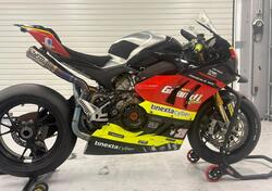 Ducati Panigale V4 R (2023 - 24) usata