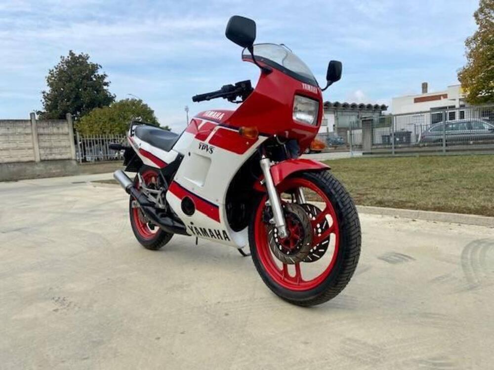 Yamaha RD 350 LC (1982 - 85) (3)