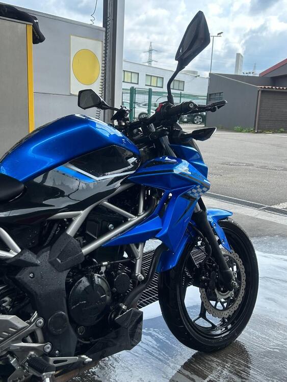 Kawasaki Z 125 (2019 - 20) (2)