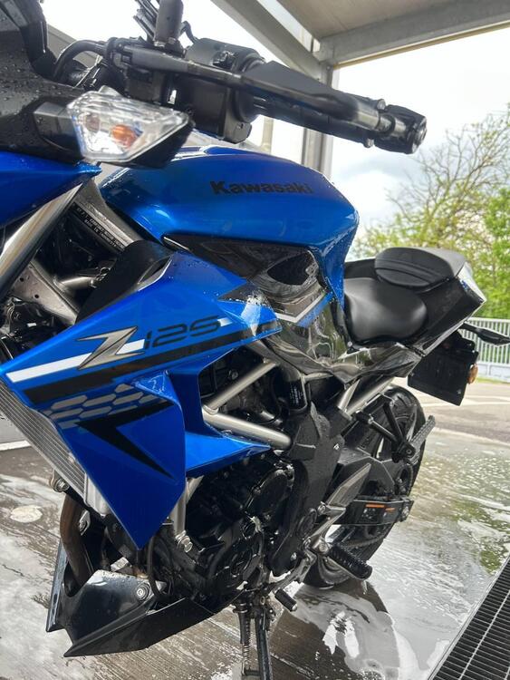 Kawasaki Z 125 (2019 - 20) (5)