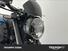 Triumph Trident 660 Triple Tribute Edition (2024) (10)