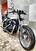 Harley-Davidson 883 Standard (2001 - 05) - XL 883 (6)