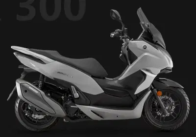 QJ Motor MTX 300 (2025 - 26) nuova