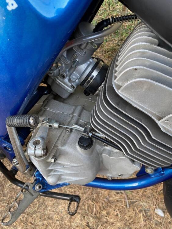 Simonini Mustung  (3)