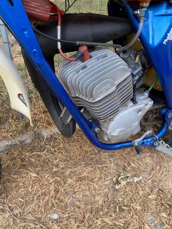 Simonini Mustung  (4)