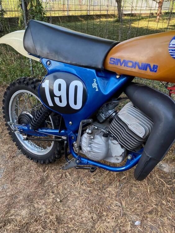 Simonini Mustung  (5)