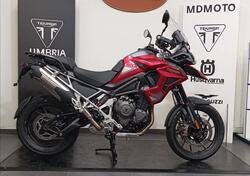 Triumph Tiger 1200 GT Pro (2024 - 25) nuova