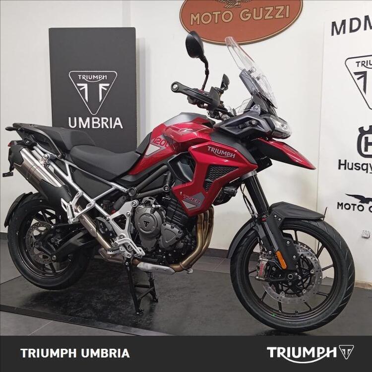 Triumph Tiger 1200 GT Pro (2024 - 25) (5)