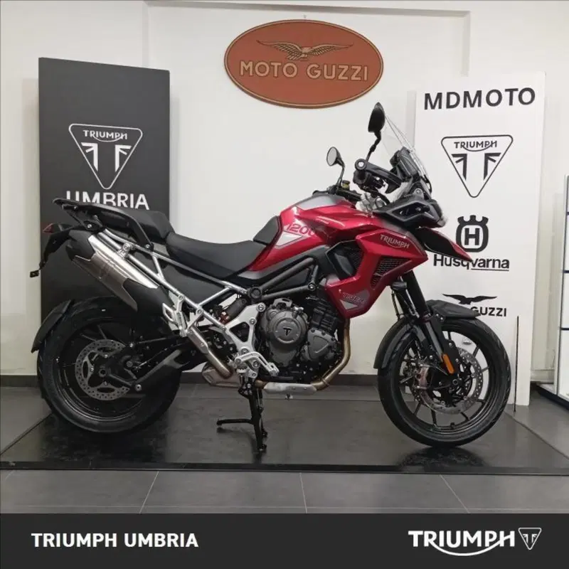 Triumph Tiger 1200 GT Pro (2024 - 26) (6)
