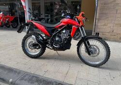 Betamotor Alp 4.0 (2024 - 25) usata