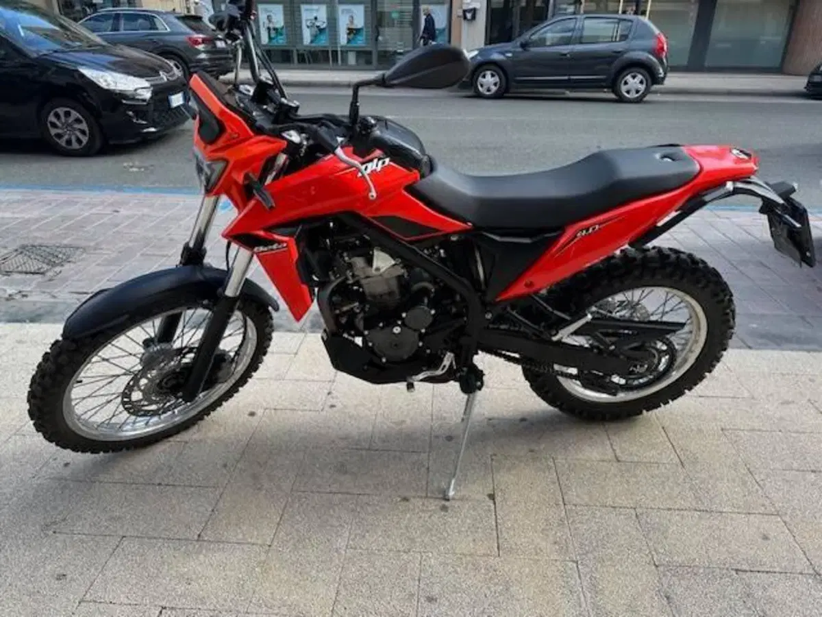Betamotor Alp 4.0 (2024 - 26) (2)
