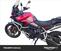 Triumph Tiger 900 GT Pro (2024 - 25) (6)