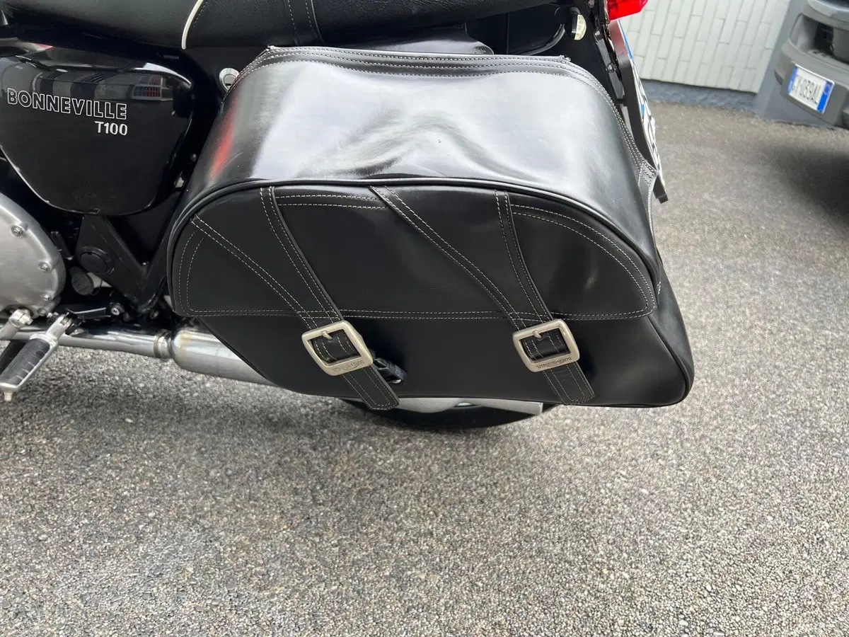 Triumph Bonneville T100 (2008 - 16) (10)