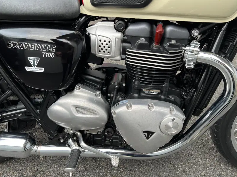 Triumph Bonneville T100 (2008 - 16) (12)