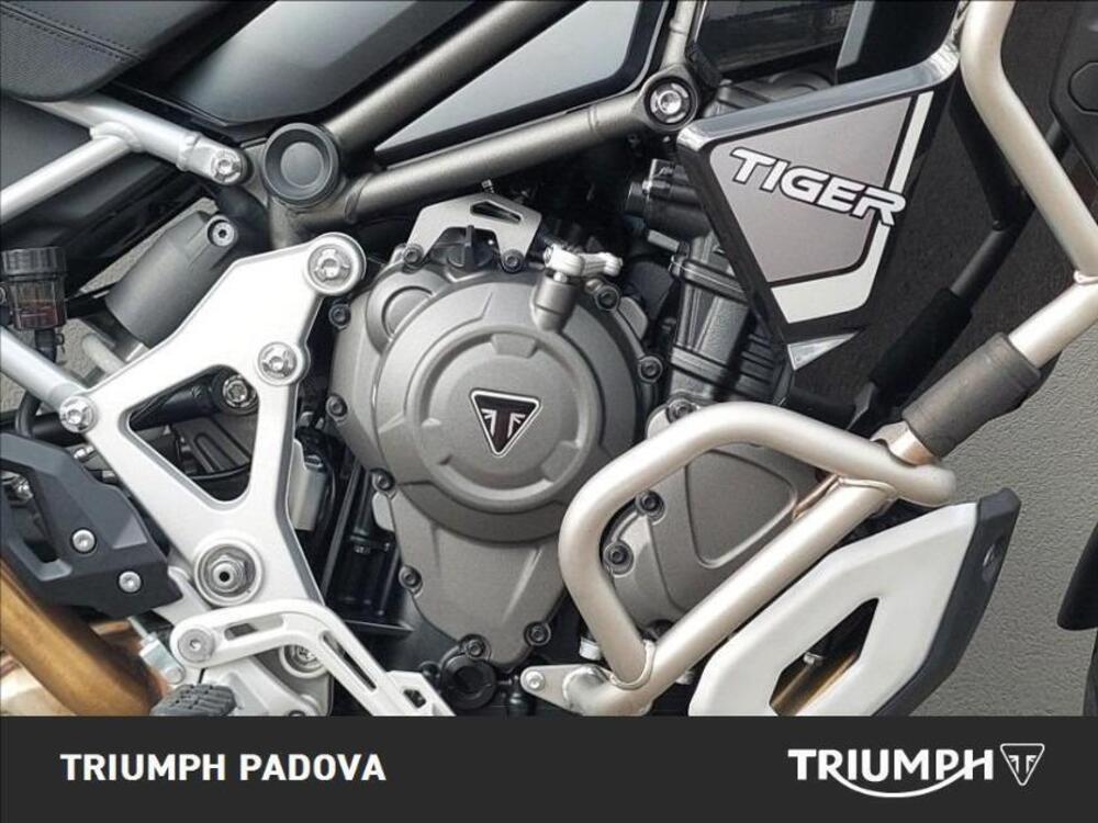 Triumph Tiger 1200 Rally Explorer (2022 - 23) (3)
