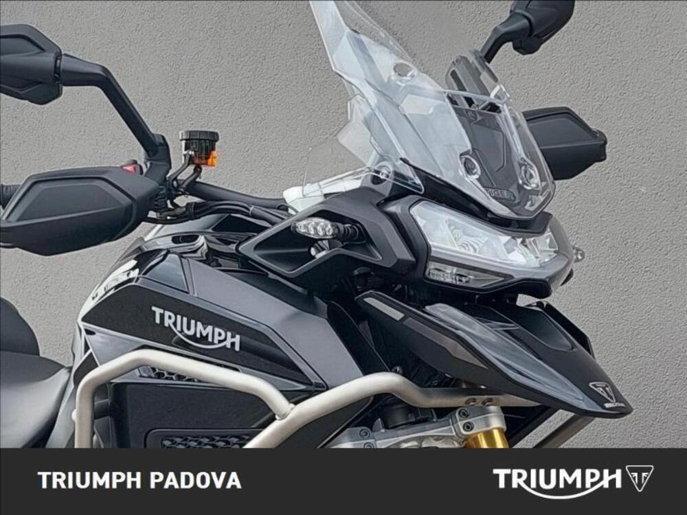 Triumph Tiger 1200 Rally Explorer (2022 - 23) (5)