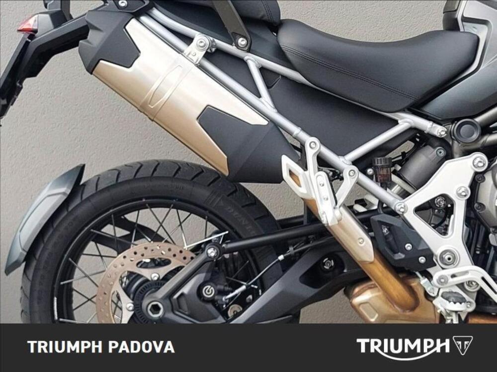 Triumph Tiger 1200 Rally Explorer (2022 - 23) (2)