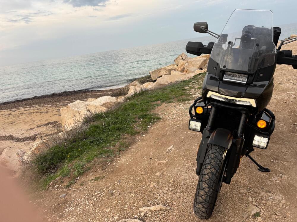 Harley-Davidson Pan America 1250 (2020 - 25) (2)