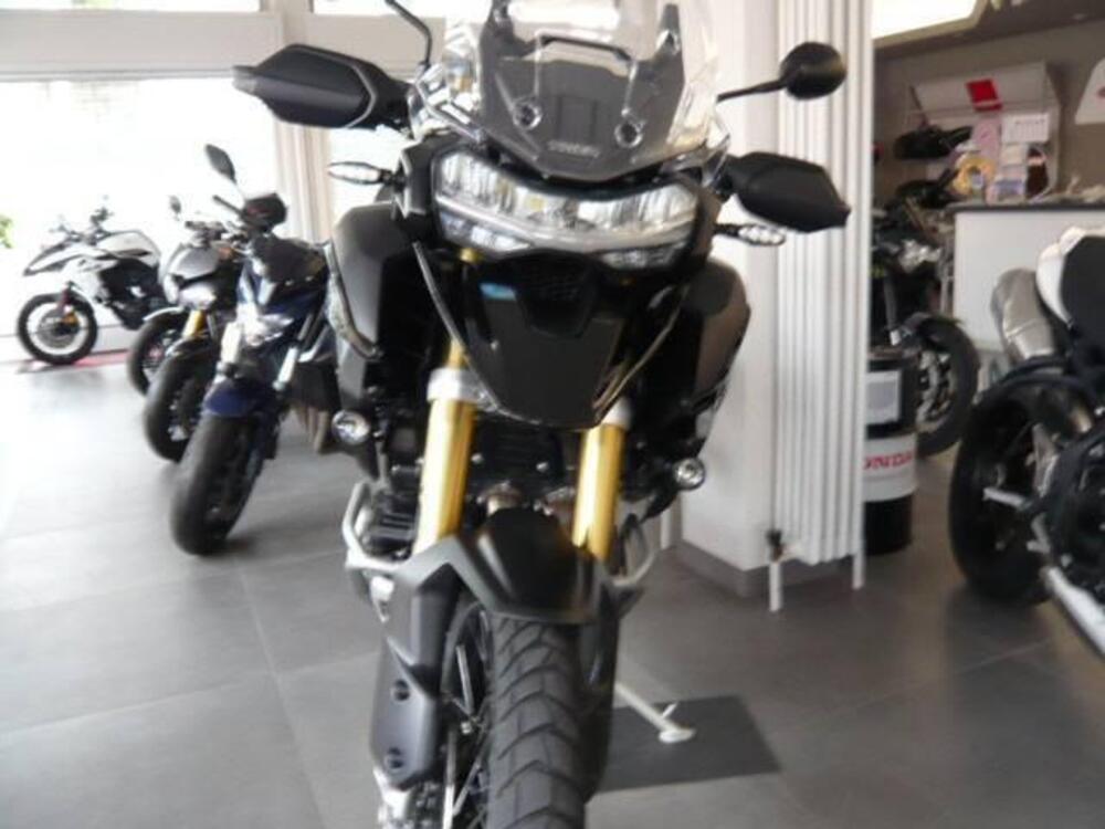 Triumph Tiger 1200 Rally Pro (2022 - 23) (3)