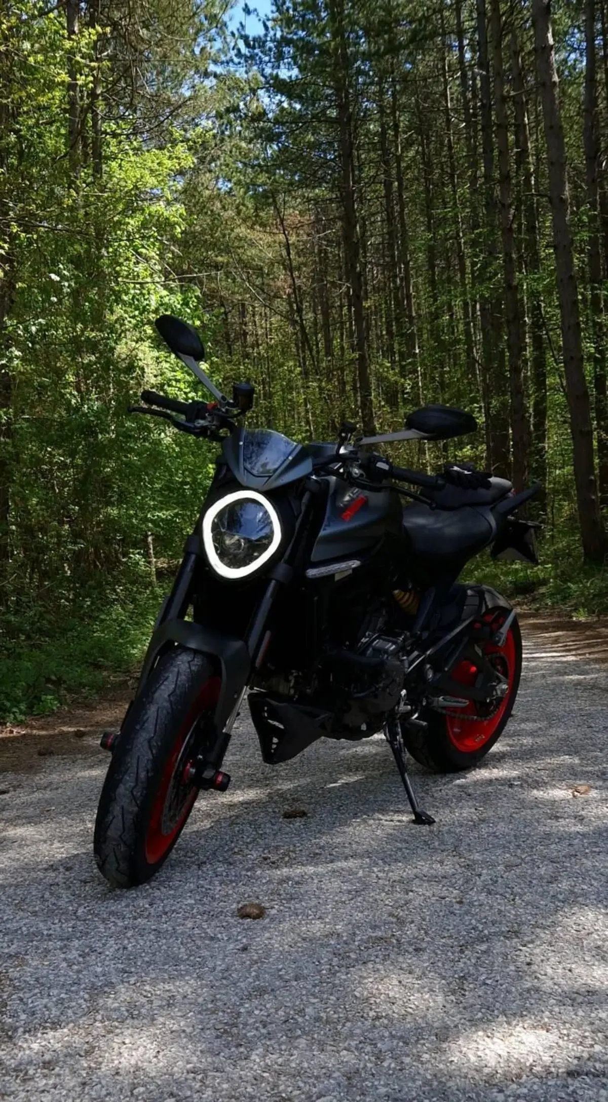 Ducati Monster 937 + (2021 - 25) (8)