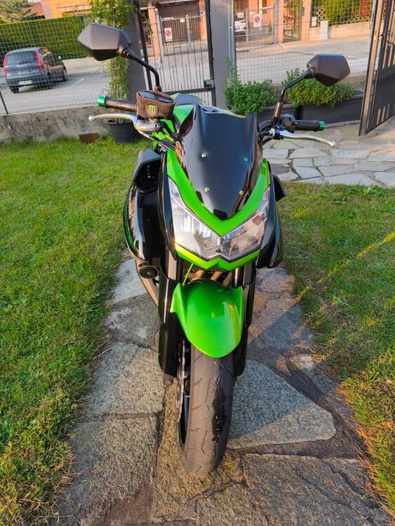 Kawasaki Z 1000 (2010 - 13) (3)