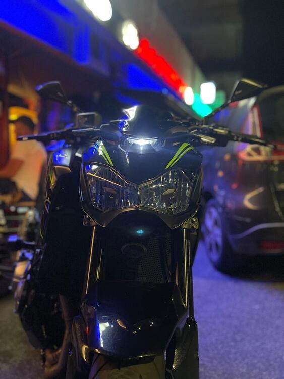 Kawasaki Z 900 Performance (2019) (2)
