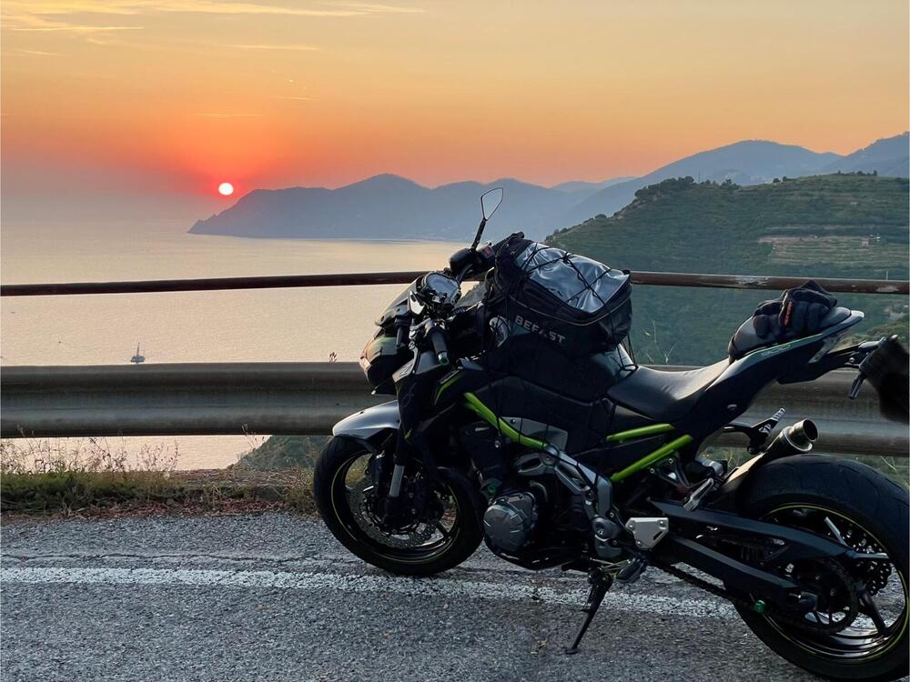 Kawasaki Z 900 Performance (2019) (3)