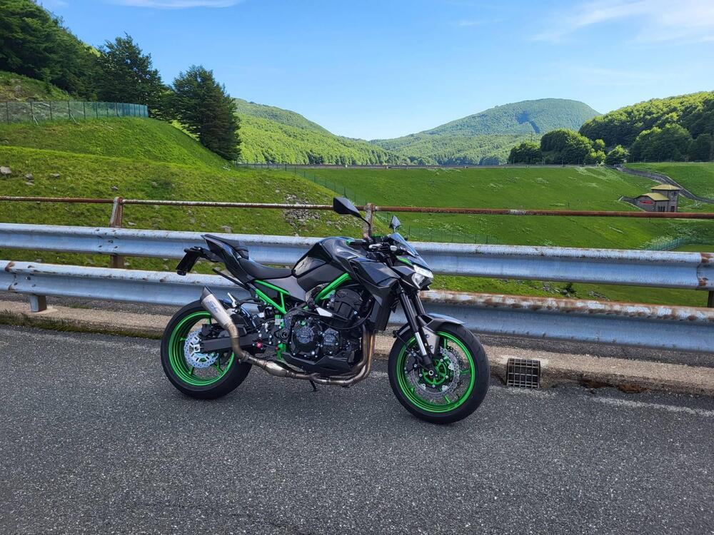Kawasaki Z 900 A2 (2021 - 24) (4)