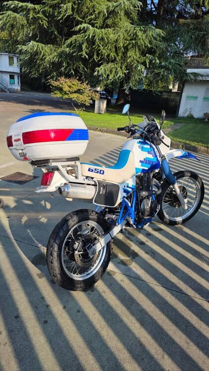 Suzuki DR 650 R (1990 - 91) (3)