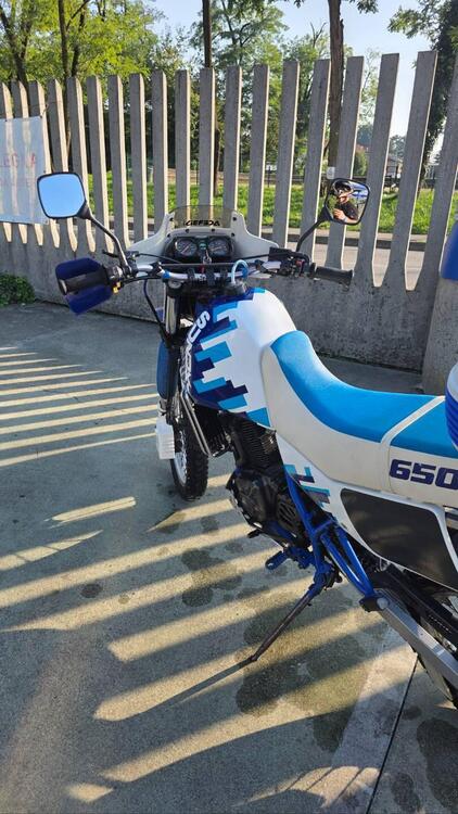 Suzuki DR 650 R (1990 - 91) (4)