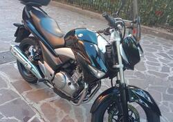 Suzuki Inazuma 250 (2012 - 17) usata