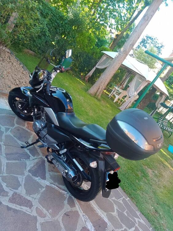 Suzuki Inazuma 250 (2012 - 17) (2)